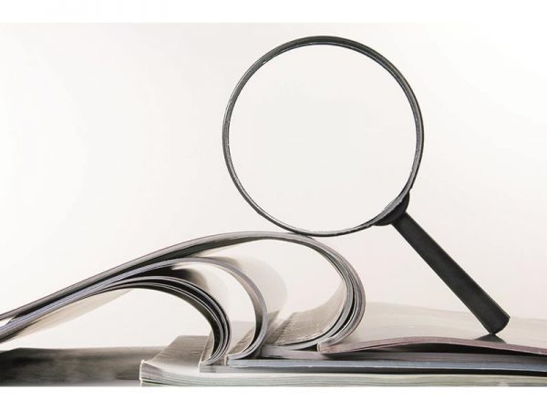 Proiectul de lege privind eficientizarea mecanismului de inspecție și control de stat în domeniul asistenței sociale, votat în lectură finală