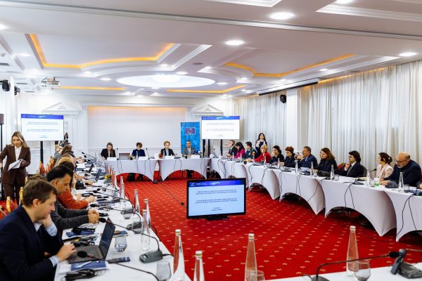 Consiliul Europei, în cooperare cu Ministerul Muncii și Protecției Sociale și alte autorități publice, a lansat un proiect de consolidare a protecției drepturilor omului pentru refugiați și migranți