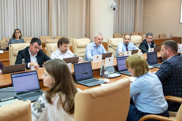 Aprobarea Consiliul Național Coordonator în Domeniul Prevenirii și Combaterii Violenței Împotriva Femeilor și Violenței în Familie