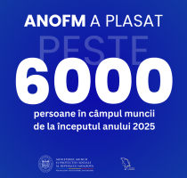 ANOFM a plasat peste 6 mii de persoane în câmpul muncii de la începutul anului 2025