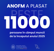 Un nou record al Agenției Naționale pentru Ocuparea Forței de Muncă: peste 11 mii de persoane au fost plasate în câmpul muncii de la începutul anului 2025