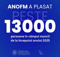 Peste 13 mii de persoane au fost plasate în câmpul muncii de la începutul anului 2025. ANOFM continuă să sprijine activ persoanele aflate în căutarea unui loc de muncă