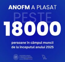 Cel mai bun rezultat din ultimii ani – peste 18 000 de persoane plasate în câmpul muncii de la începutul anului