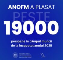 Cel mai bun rezultat din ultimii ani – peste 19 000 de persoane plasate în câmpul muncii de la începutul anului